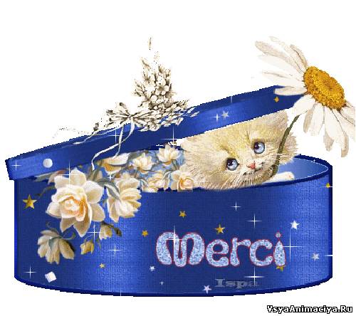  Merci,  Merci 