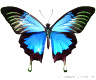 http://www.vsyaanimaciya.ru/_ph/85/2/190942217.gif